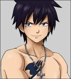 Dans quel manga les personnages ont-ils la marque de leur guilde "tatouée" quelque part sur le corps ?