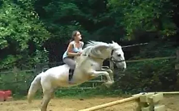 Quiz Galop 4