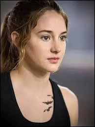 Quels animaux sont représentés sur le tatouage de Tris ?