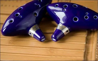 Comment s'appelle cet instrument musical ?