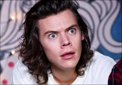Quel est le deuxième nom de Harry Styles ?