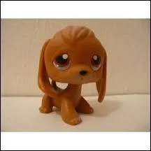 Comment s'appelle ce petshop ?