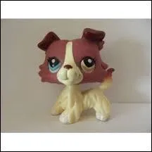 Comment s'appelle ce petshop ?