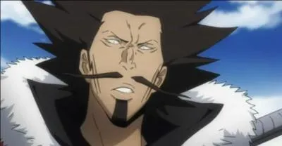 Je suis le Gardien de la Foudre de la Varia et je v&eacute;n&egrave;re mon boss. Je suis...