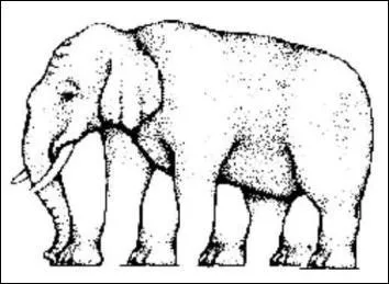 Combien de pattes cet éléphant a-t-il ?