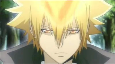 Je fus le Vongola Primo ainsi que le premier à utiliser la percée du point zéro. Qui suis-je ?