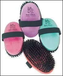 Quelle est cette brosse ?