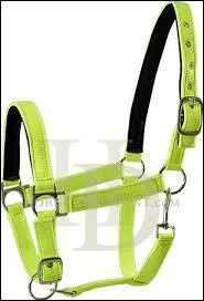 Quel est cet objet ?