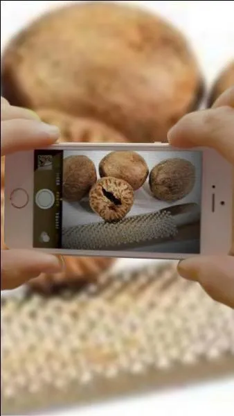 Quelle est cette épice ?