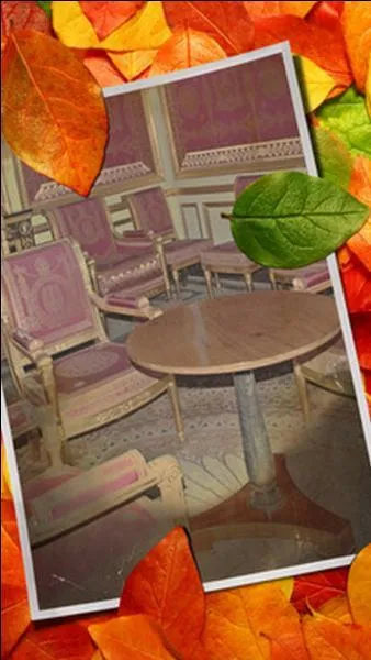 Quel est le style de ces meubles ?