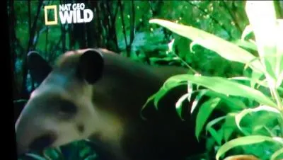 Je suis sûr que vous l'avez reconnu !