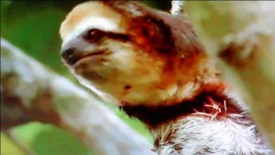 Prenez votre temps, car lui n'est pas pressé !