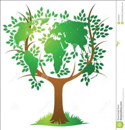 Mon premier est égal à mon tout, c'est là qu'on coupe les bois ! Quelle est ma capitale ?