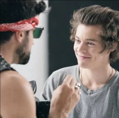 Quel métier voulait faire Harry avant de participer à X Factor ?