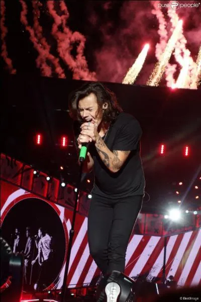 En musique, qui sont les héros de Harry ?