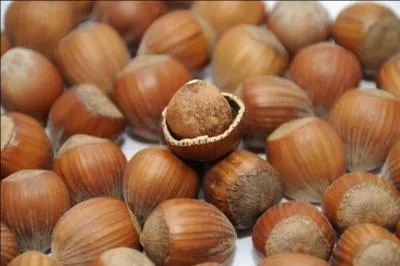 Je suis parfois appelée aveline, je suis un fruit commun, qui suis-je ?