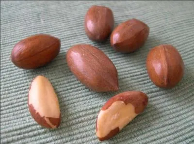Je suis le fruit du noyer d'Amazonie. Qui suis-je ?