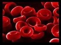 Que met en jeu l'activité du cur ?