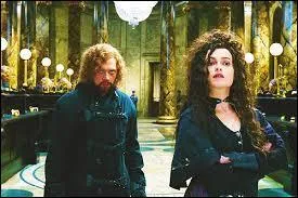 Les portes de la banque Gringotts et de la chambre forte de Bellatrix fonctionnent parfaitement. D'après vous, en combien de mois ont-elles été construites ?