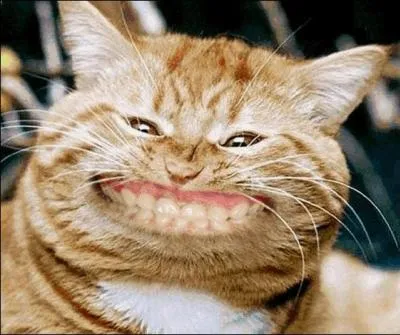 En quoi nos dents sont-elles principalement faites ?