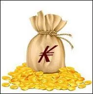 Comment règle-t-on ses achats dans "Dofus" ?