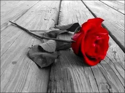 Emouvant hommage à une mère : " Je ne reviendrai plus jamais dans ce village que j'aimais où tu reposes à tout jamais, Oh Mamy..."