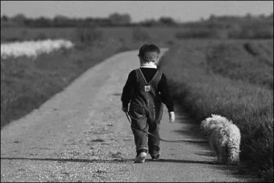 Qui chantait "N'écoute pas ta mère pleurer, tant pis si elle a du chagrin, va-t-en courir dans le jardin..."