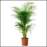 Quelle est sa passion ?