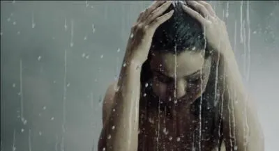 "Locked Away" d'Adam Levine est la chanson représentée ici.