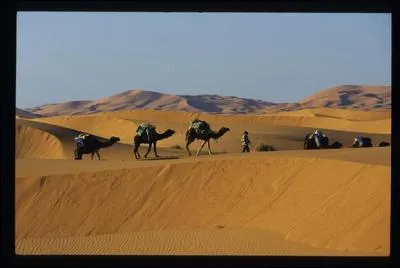 Lequel de ces peuples n'était pas nomade ?