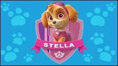 Comment s'appelle cette petite chienne ?