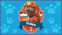 Comment s'appelle ce petit plongeur ?