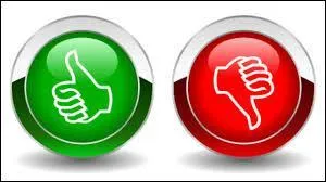 Lequel de ces mots désigne un défaut ?