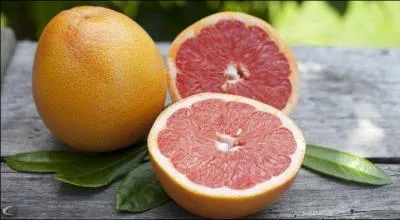 Après avoir avalé une brioche rassise, vous mangerez bien une pamplemousse ?