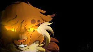 Quel est le physique d'Ombre d'Erable ?