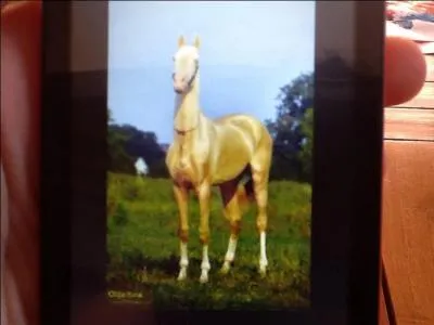 Cette beauté est...