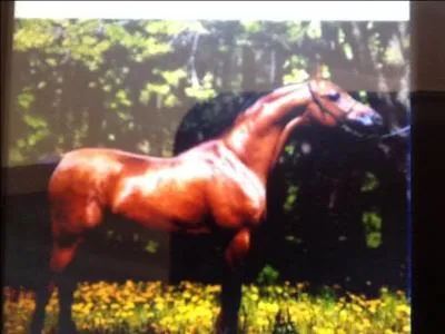 Cette jument étincelante est...