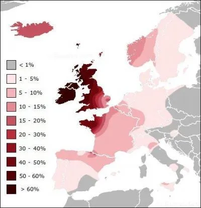 Au fil des millénaires, le groupe R1B va se diviser en 5 branches principales qui vont "conquérir" l'Europe : le premier (R-L21) est appelé groupe ... (complétez grâce à la carte ! )