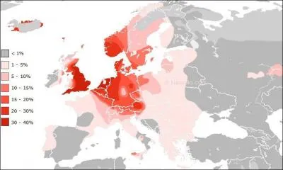 La quatrième branche, dite branche germanique, prend "racine" pour former le gros des tribus germanique de l'Ouest. Mais à quoi est due sa large diffusion géographique dans le génome européen d'aujourd'hui ?