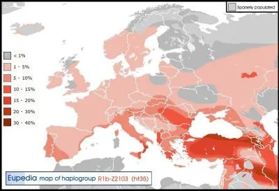 Enfin, une dernière branche, qui n'est pas majoritairement centrée en Europe, contribue à diversifier le continent : laquelle ?