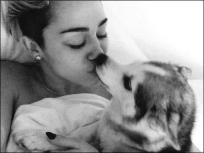 Quel est le nom du défunt husky de Miley ?