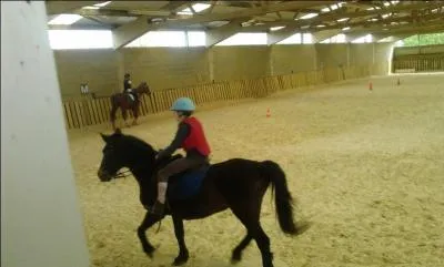 Le trot est une allure à :