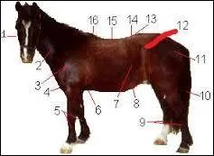 Que représente le 12 ?