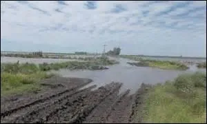 Le verbe draguer peut-il s'appliquer au nettoyage d'un bassin, d'un puits, d'un étang ou un canal ?