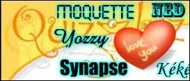 Pendant ce temps, Ned35, Moquette, Yozzy, Kéké et Synapse parlaient des vieilles séries télévisées, comme "La Petite Maison dans la prairie". Kéké avoua que son personnage préféré était la garce de la série, grande ennemie de Laura Ingalls :