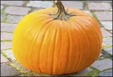 Quel est ce gros fruit orangé, qui peut peser jusqu'à 5 kg, et qui nous est familier, dès novembre ?