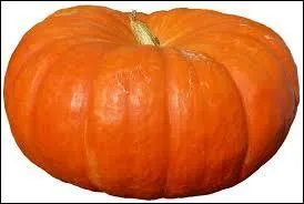 Quelle est cette variété de courge un peu aplatie dont la couleur va d'un orange rougeâtre au vert foncé ?