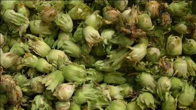 Que sont ces fruits, rois de l'automne ?