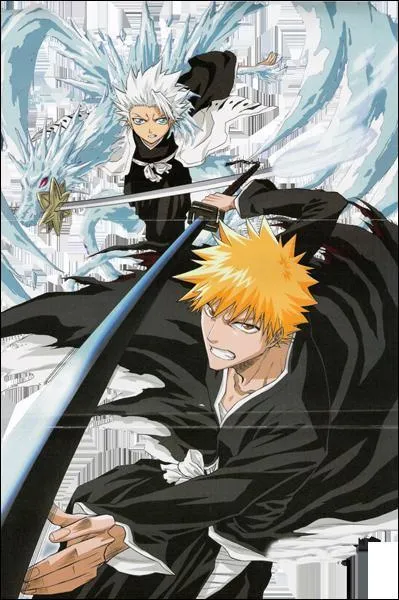 Qu'est-ce qu'il reproche toujours  Ichigo ?