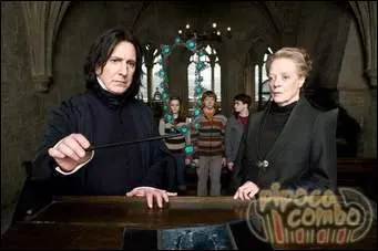 Qui sont ces professeurs ?